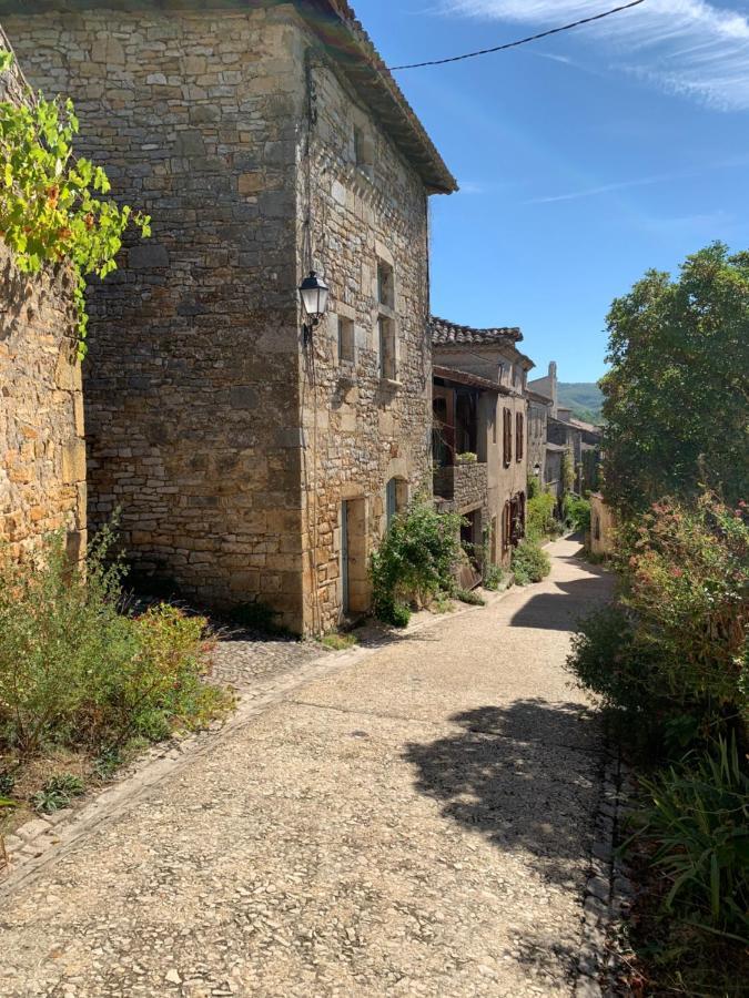 La Maison Des Ecureuils - Bruniquel Exterior photo